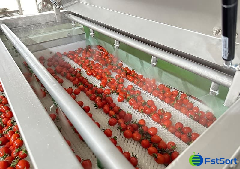 images/1691481492466cherry tomato sorting machine.jpg